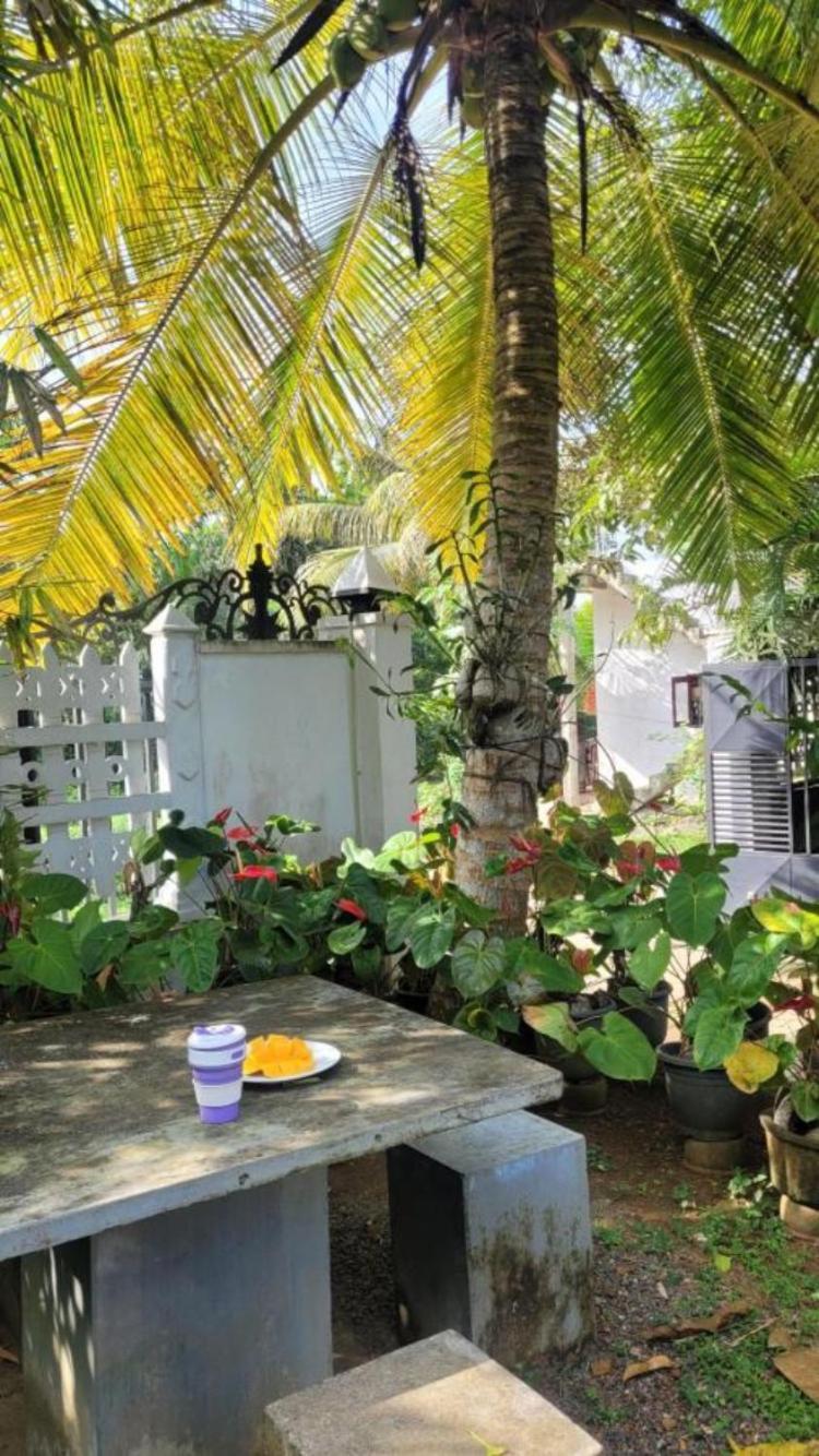 Mirewon Guest Hotel Weligama Buitenkant foto